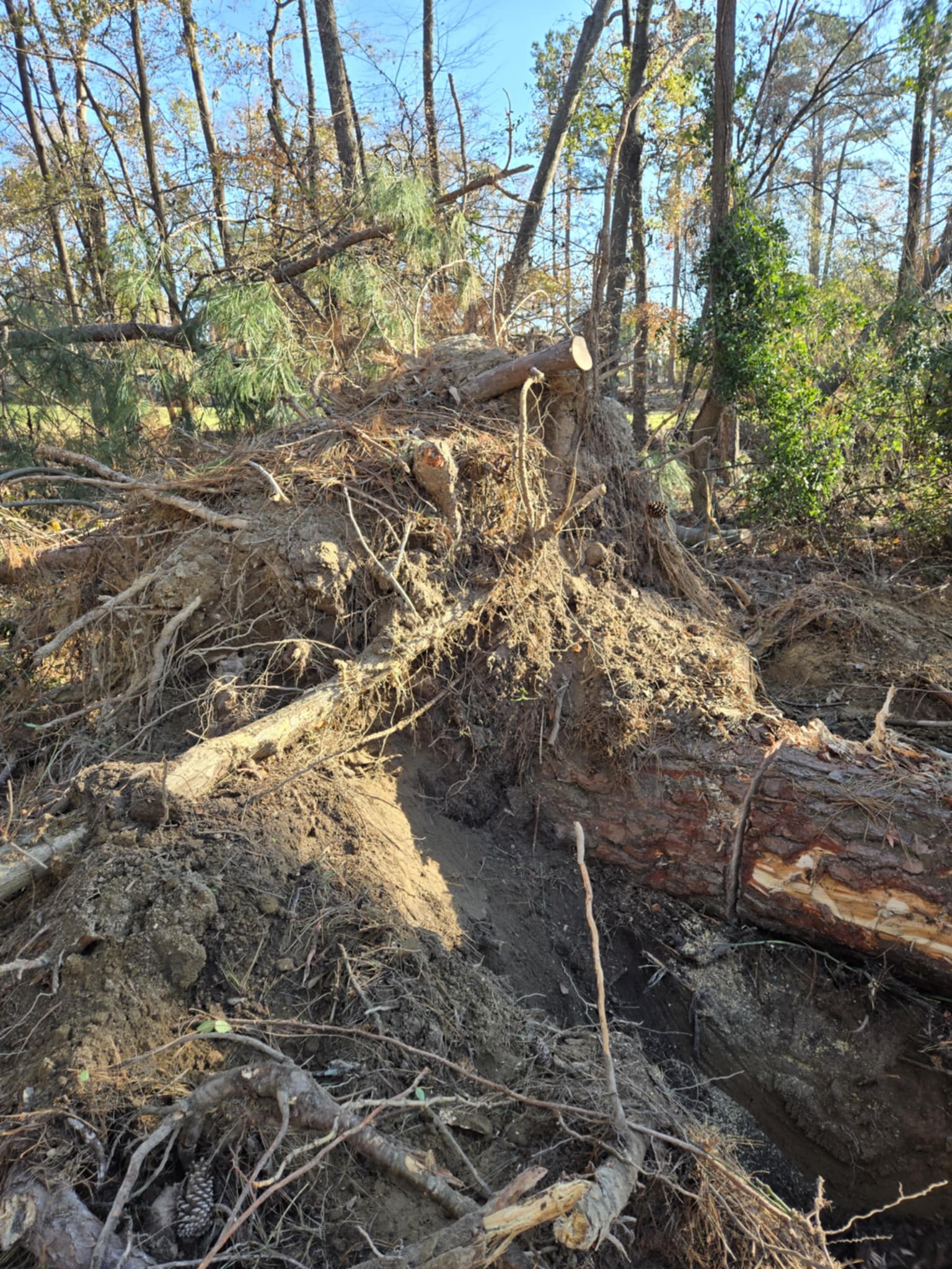 Debris Removal