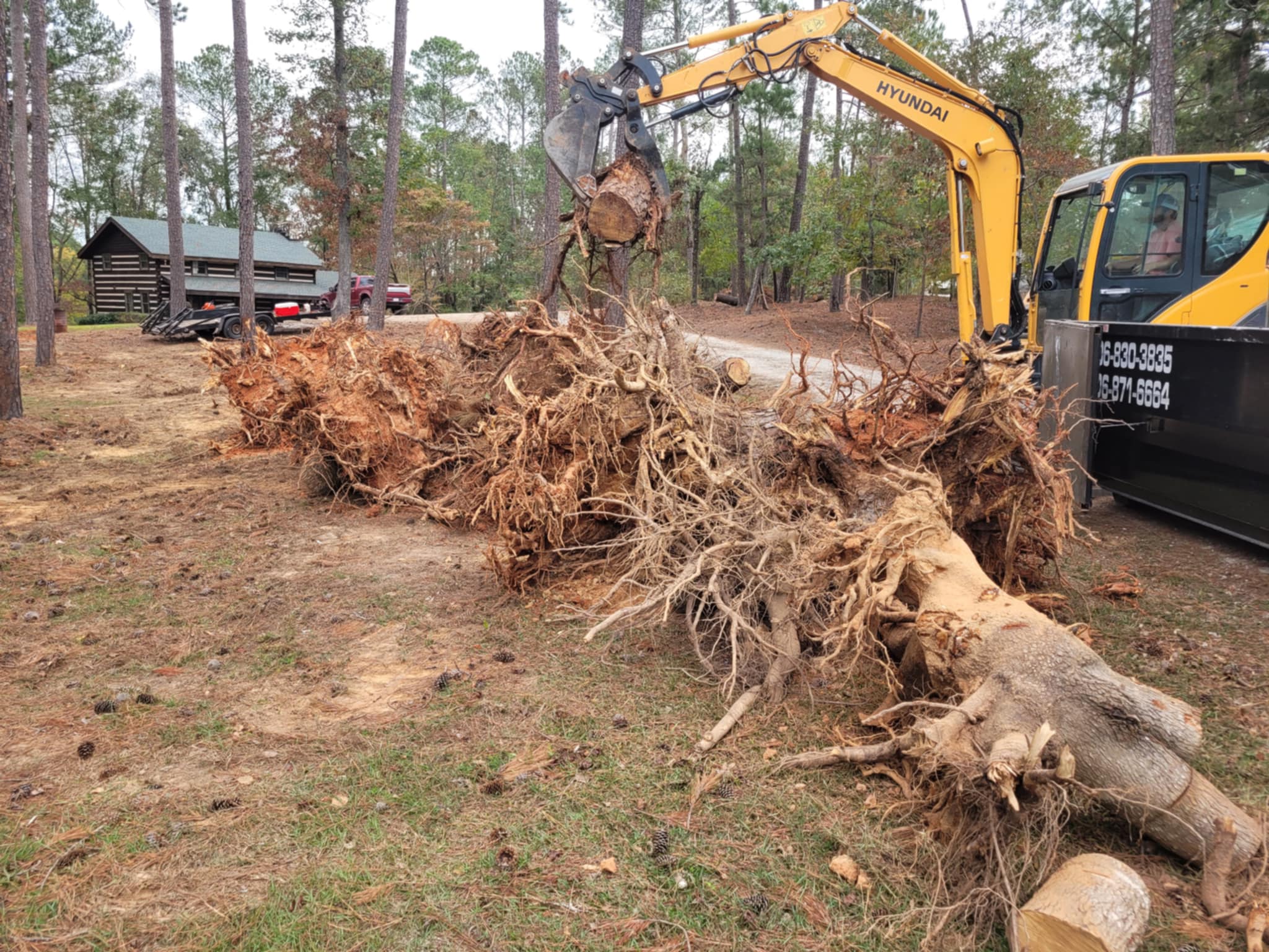 Land Clearing