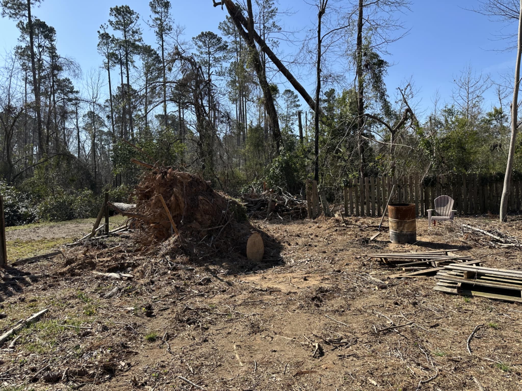 Stump Removal